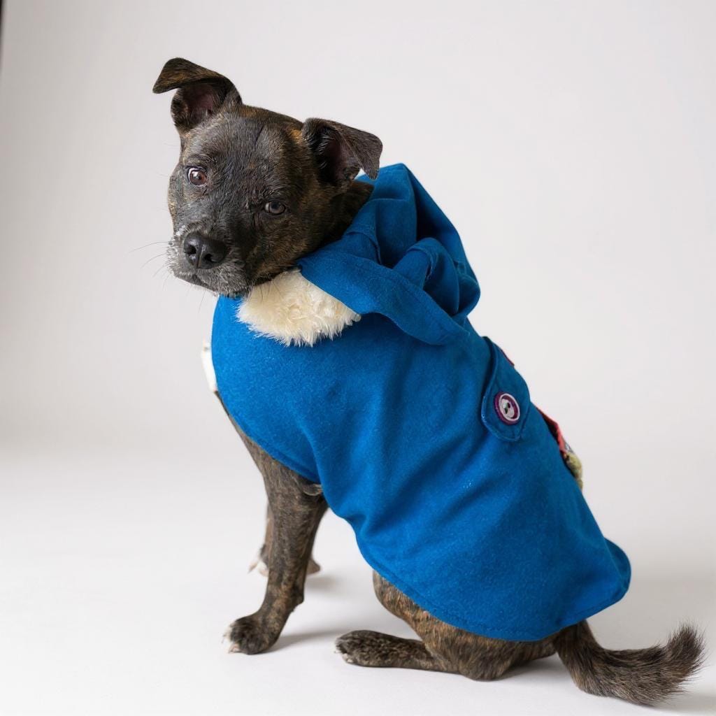 Upcycled Vintage Crochet Patch Wool Dog Jacket - Large