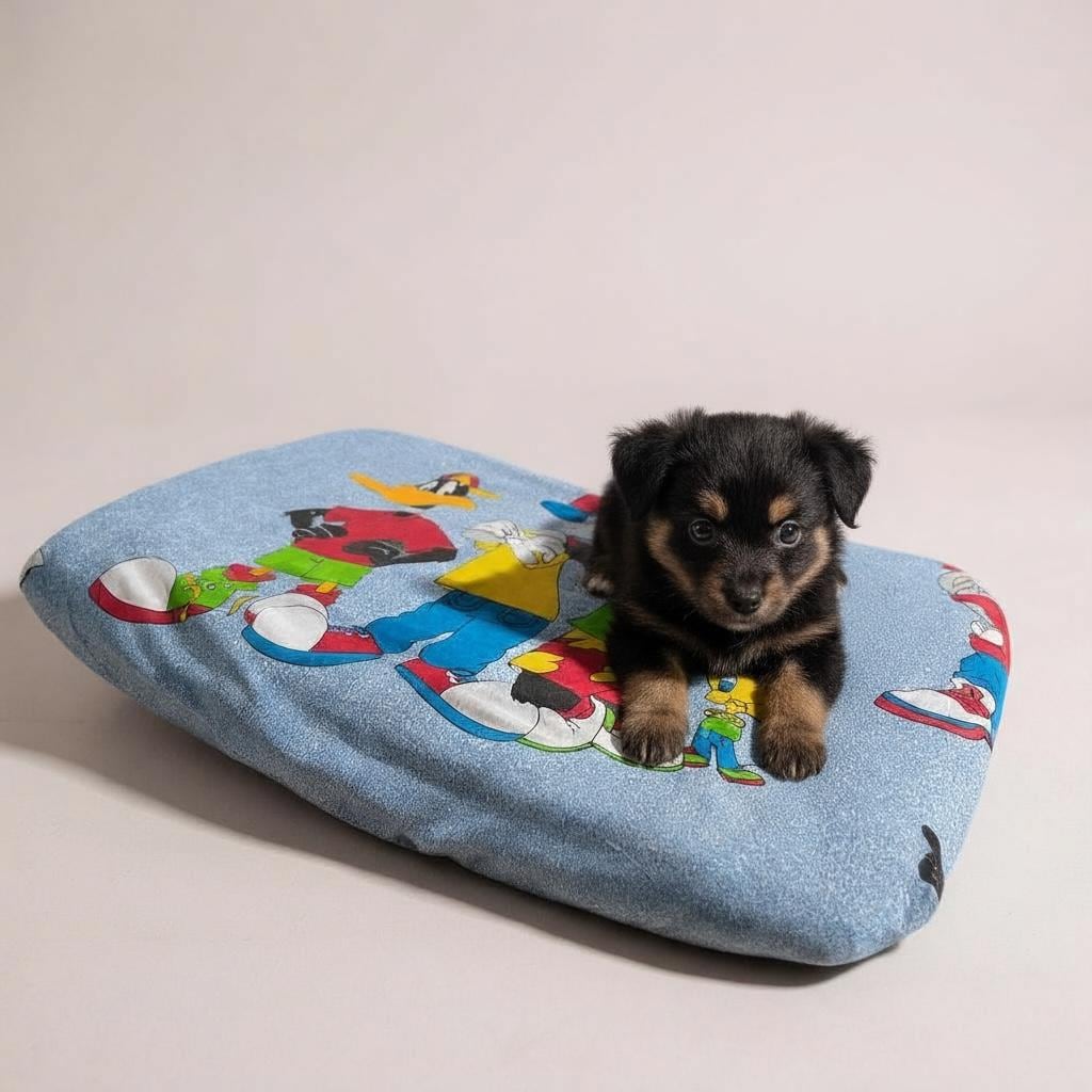 Vintage Handmade Animal/ Cartoon Collection - Mat & Pillow Range