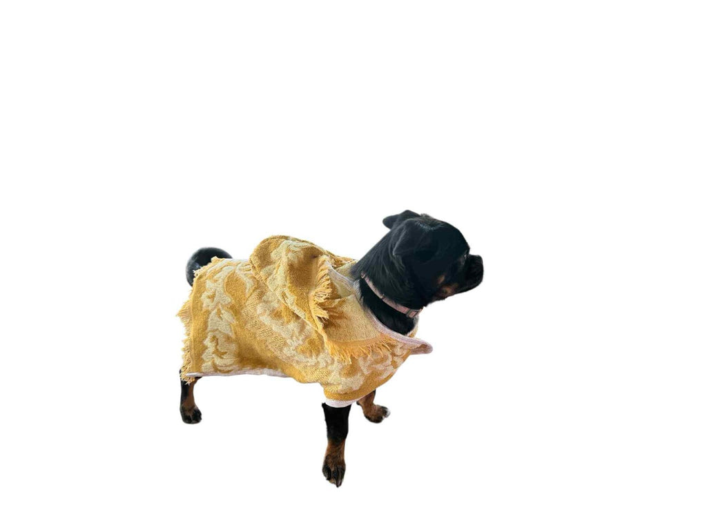 Retro Vintage Handmade Towelling Dog Jackets Small