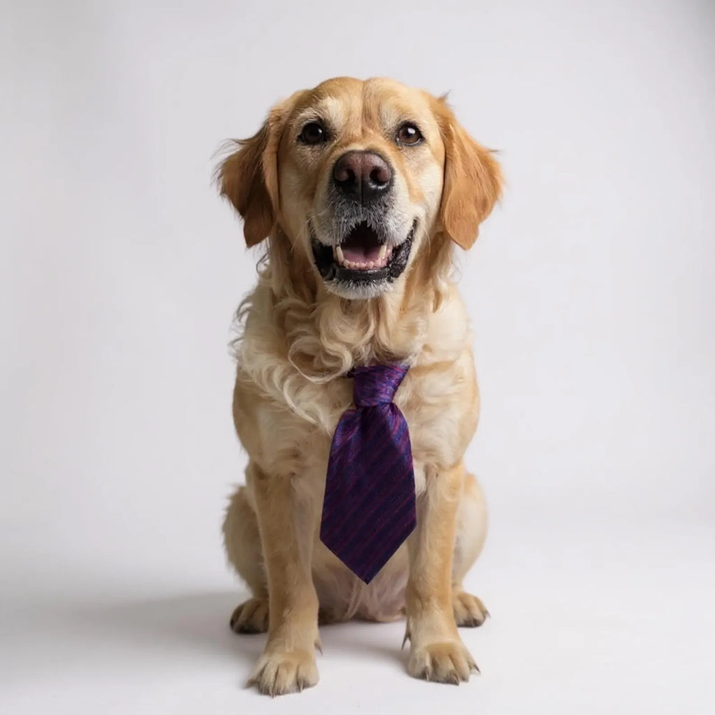 Recycled Pet Dog Ties
