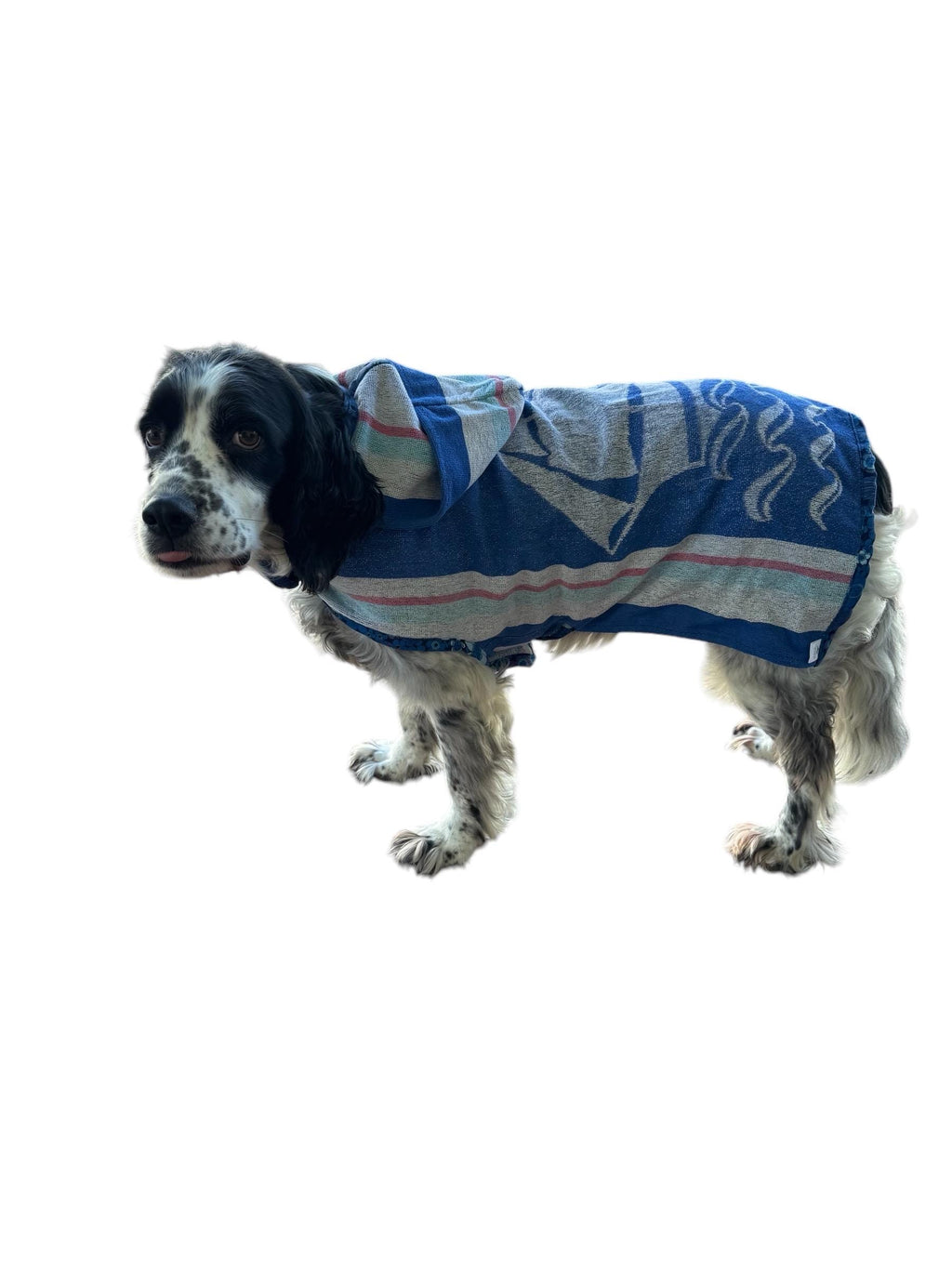 Retro Vintage Homemade Towelling Dog Jackets B - Large
