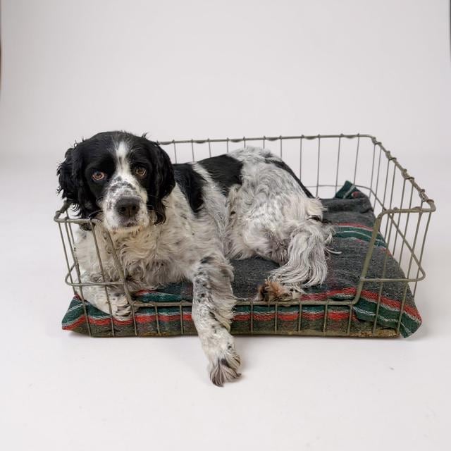 Vintage Handmade Basket Beds - Striped
