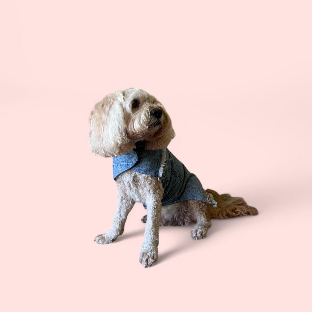 Upcycled Vintage Handmade Denim Dog Jacket - Medium