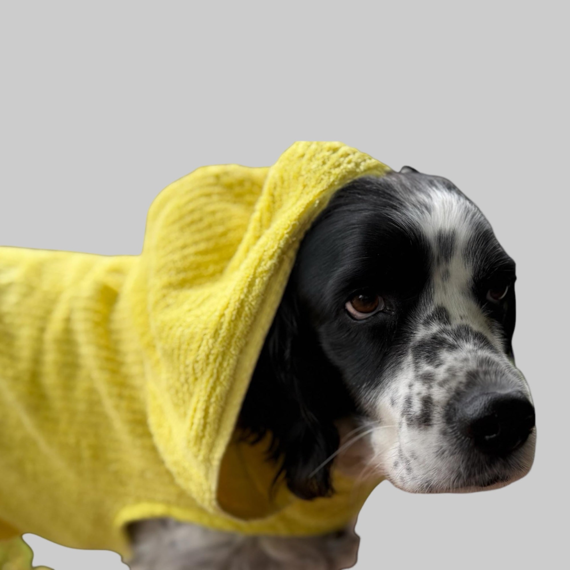 Retro Vintage Handmade Towelling Dog Jackets - Xtra Large