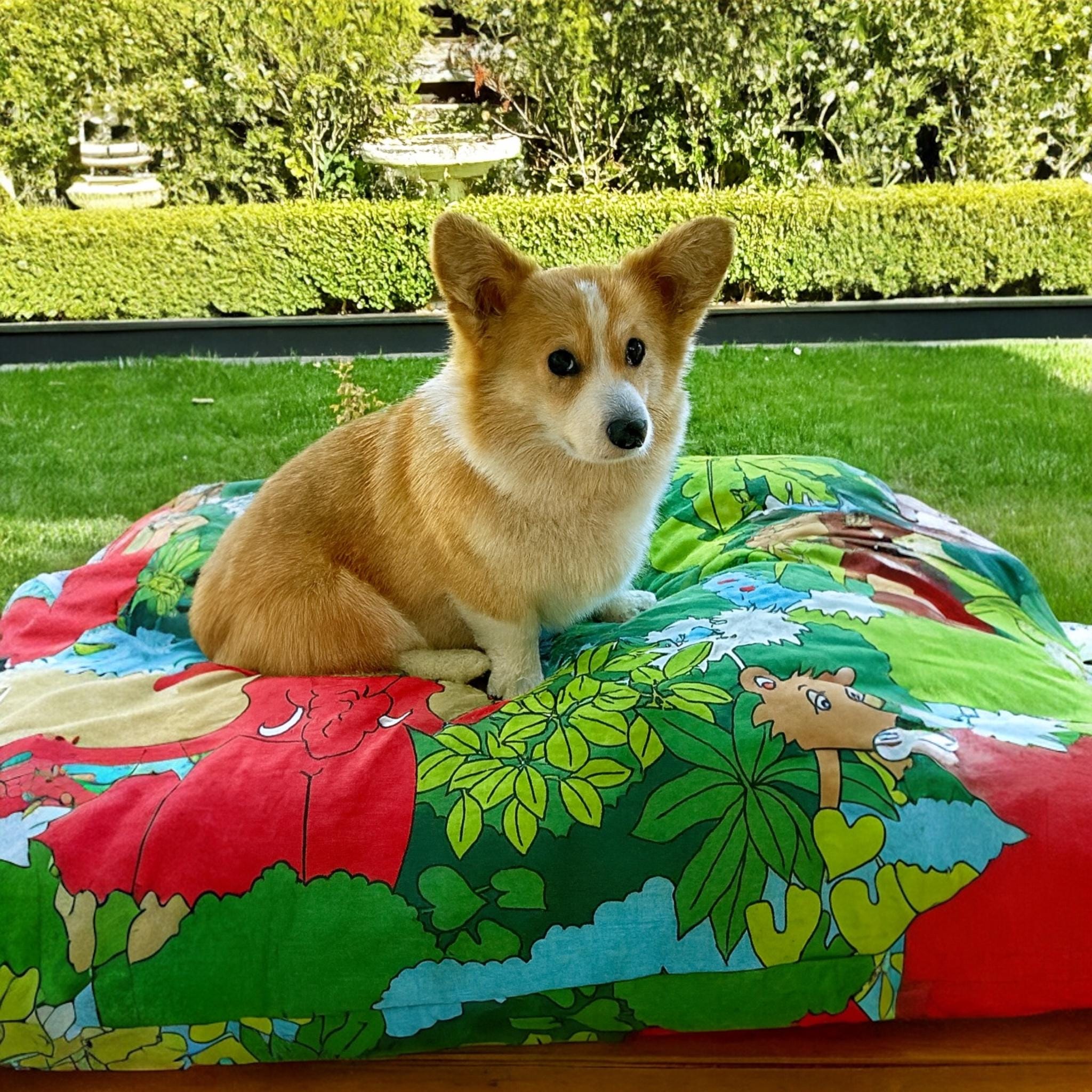 Vintage Handmade Animal/ Cartoon Collection - Mat & Pillow Range