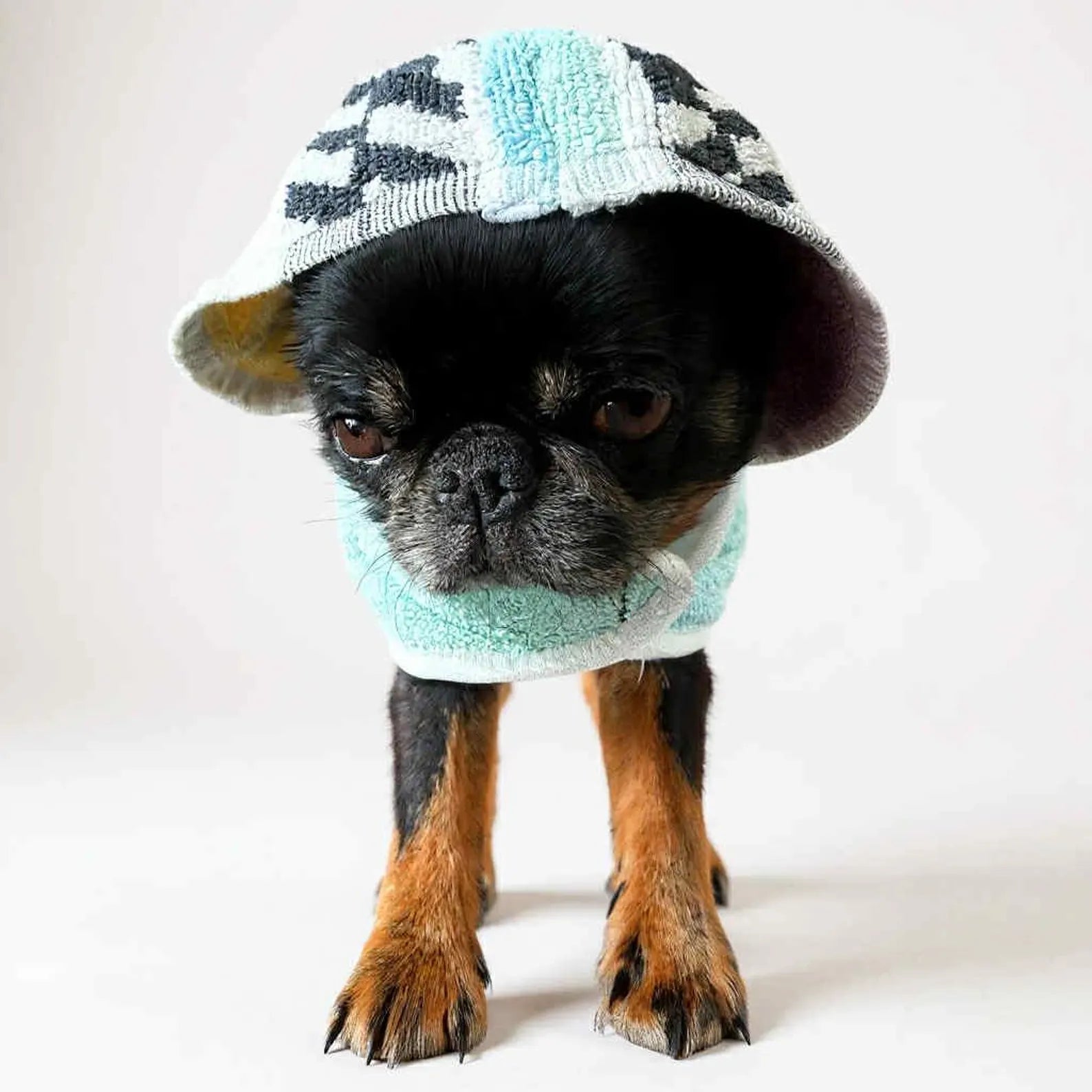 Retro Vintage Handmade Towelling Dog Jackets Small