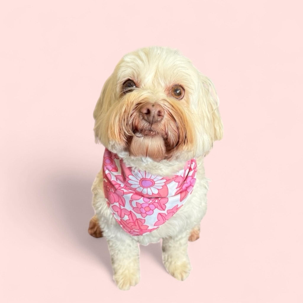 Vintage 60s Floral Dog Bandana: Reversible Tie-On Pet Wear