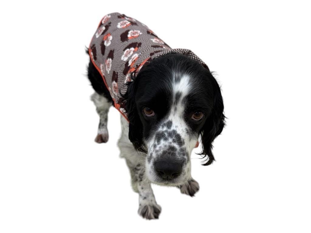 Upcycled Handmade Retro 60s Fabric Dog Jacket