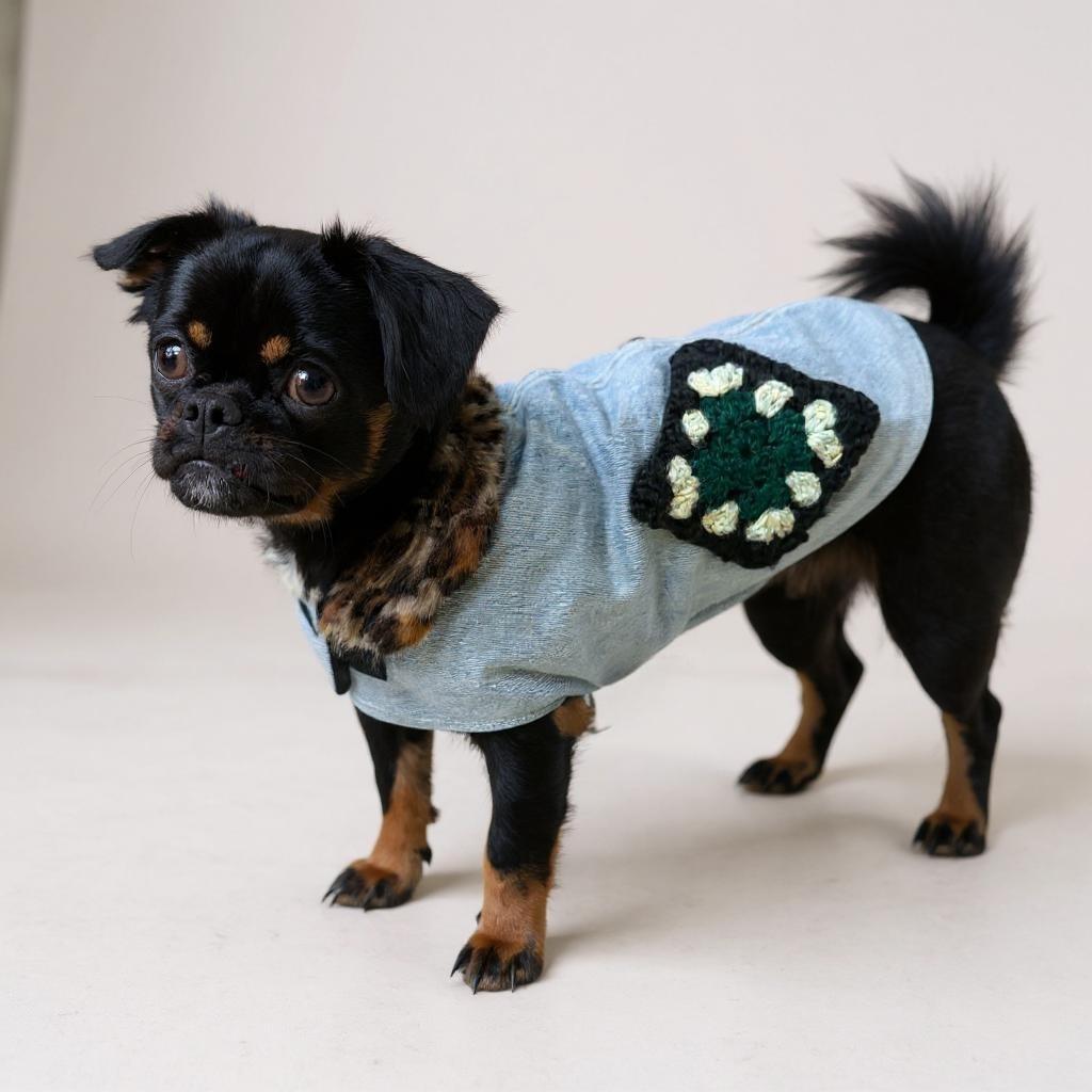 Upcycled Vintage Handmade Denim Dog Jacket - Small