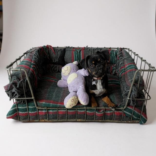 Vintage Handmade Basket Beds - Striped