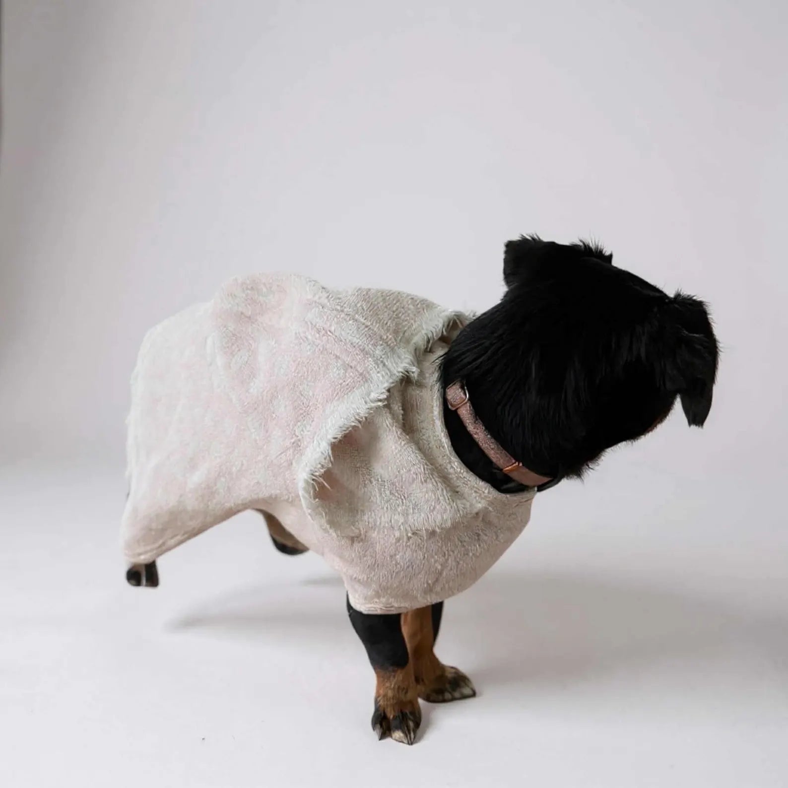 Retro Vintage Handmade Towelling Dog Jackets Small