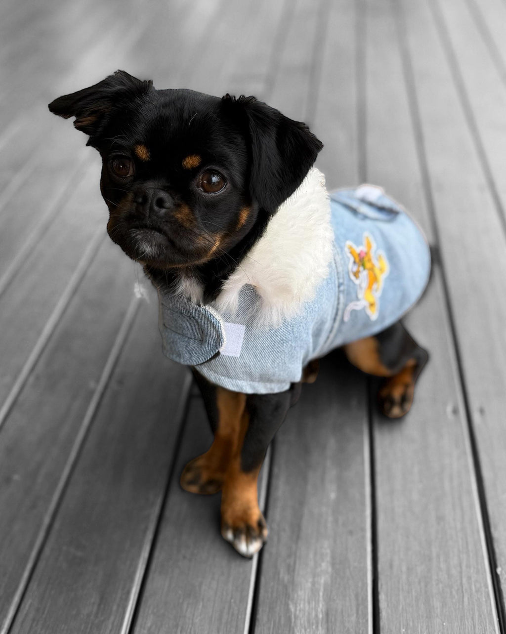 Upcycled Vintage Handmade Denim Dog Jacket - Small