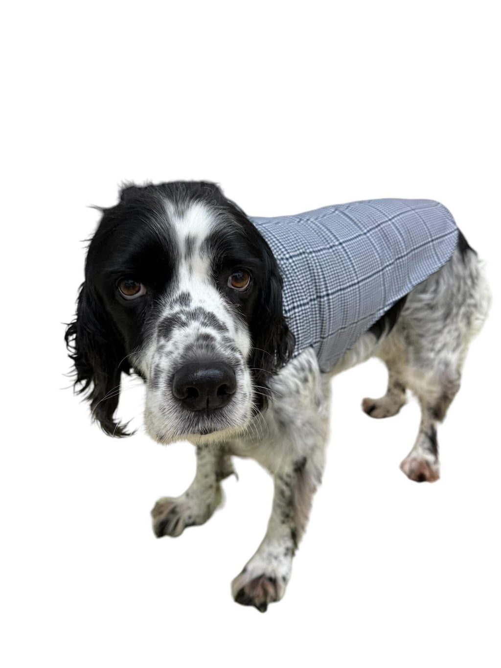 Upcycled Retro 60s Fabric Dog Jacket Coat