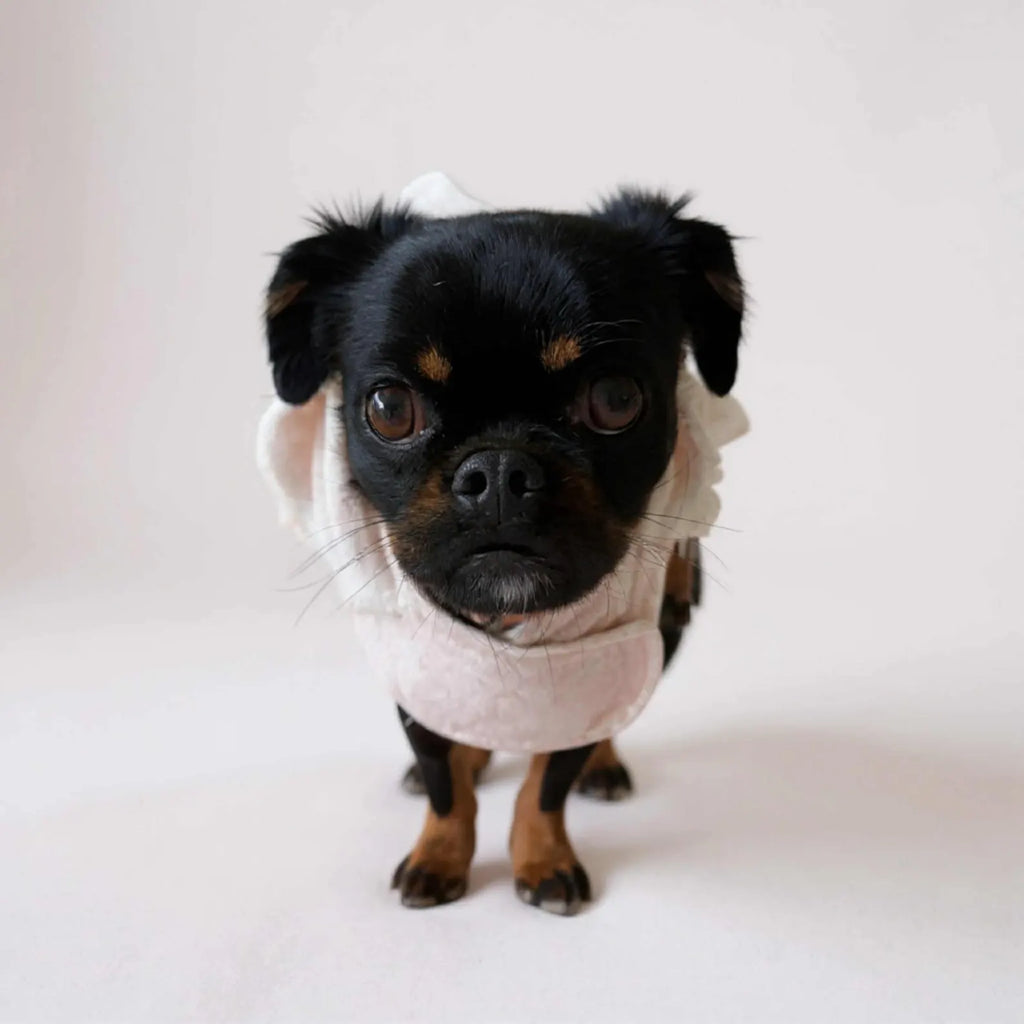 Retro Vintage Handmade Towelling Dog Jackets Small