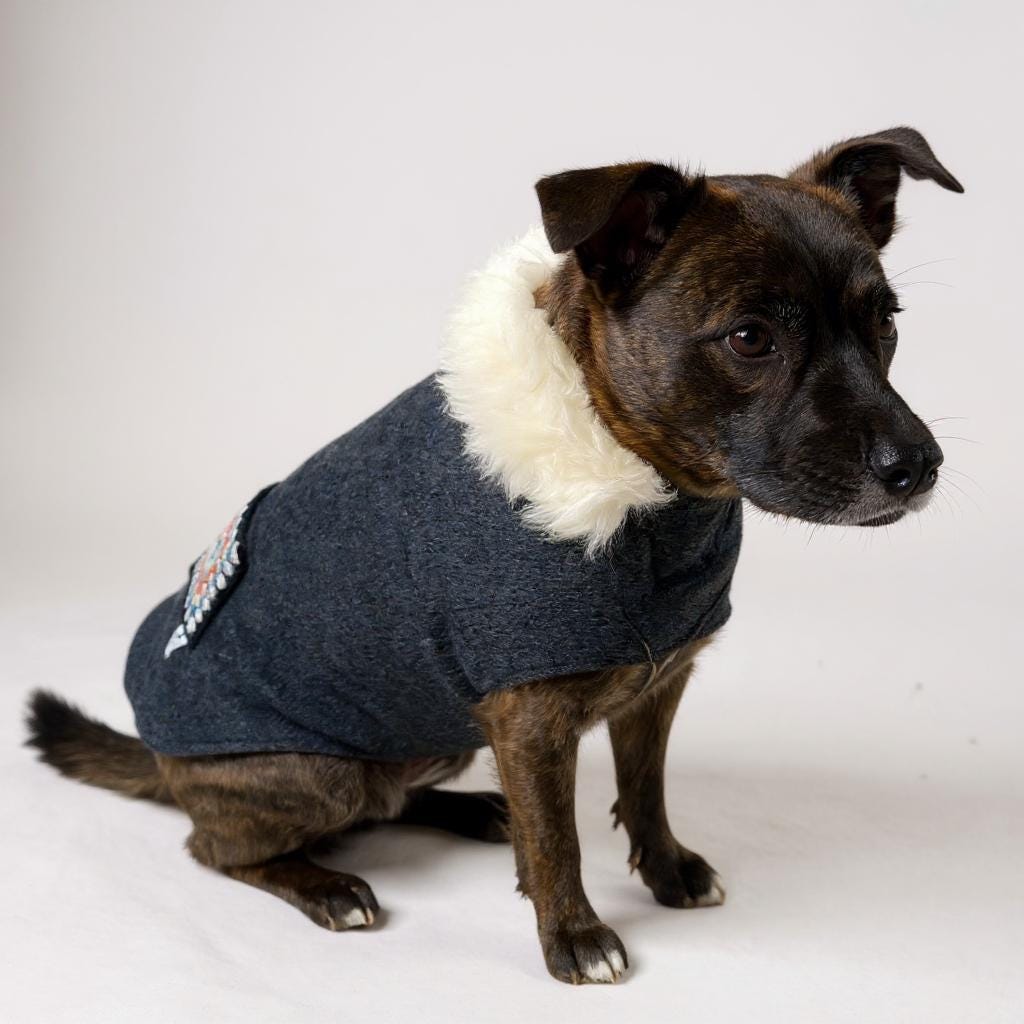 Upcycled Vintage Crochet Patch Wool Dog Jacket - Large