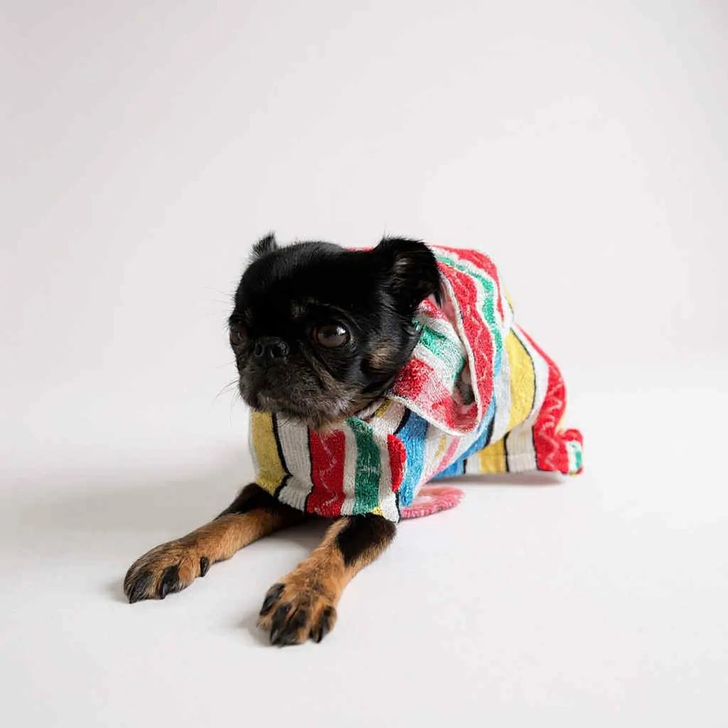 Retro Vintage Handmade Towelling Dog Jackets Small
