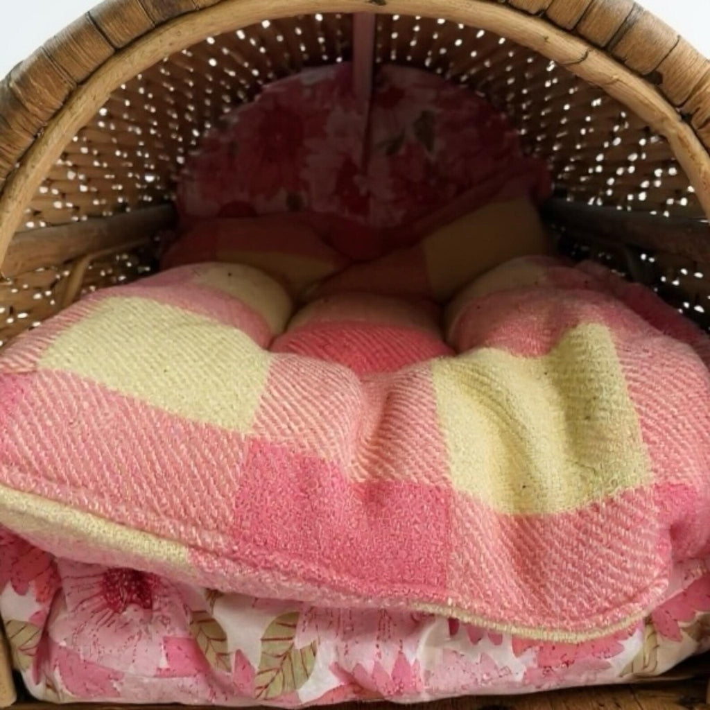 Vintage Wicker Pet Carrier - Retro Cat or Small Dog Basket