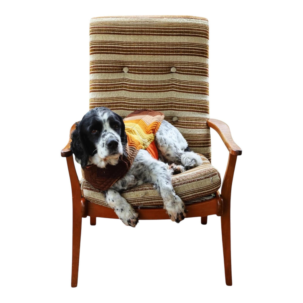 Vintage Homemade Woollen Dog Jacket