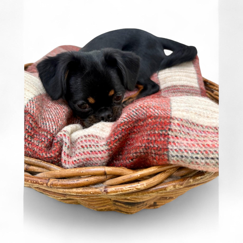 Vintage Handmade Wollen Basket Beds - Red & Black