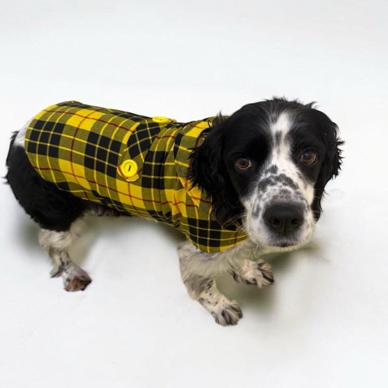 Retro Handmade 60s Fabric Dog Jacket