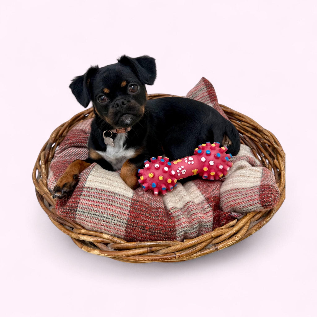 Vintage Handmade Wollen Basket Beds - Red & Black