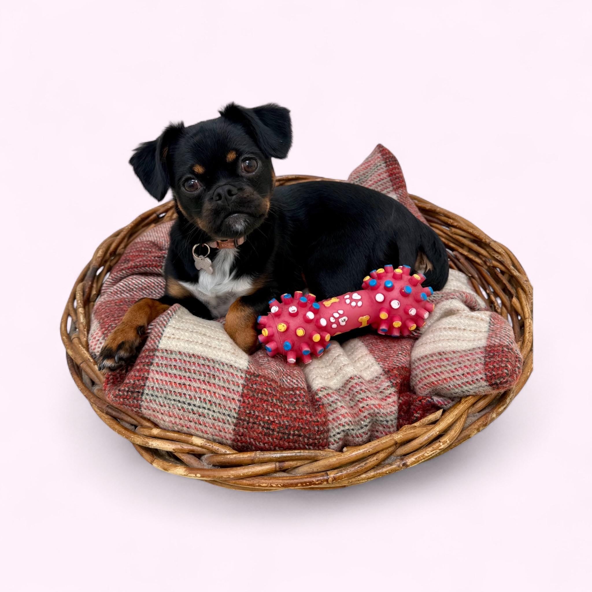 Vintage Handmade Wollen Basket Beds - Red & Black