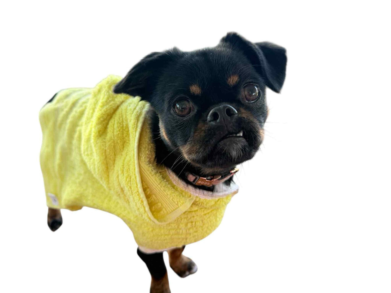 Retro Vintage Handmade Towelling Dog Jackets Small