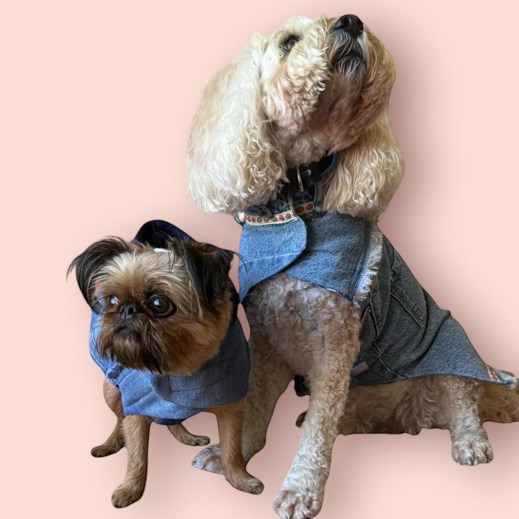 Upcycled Vintage Handmade Denim Dog Jacket - Medium