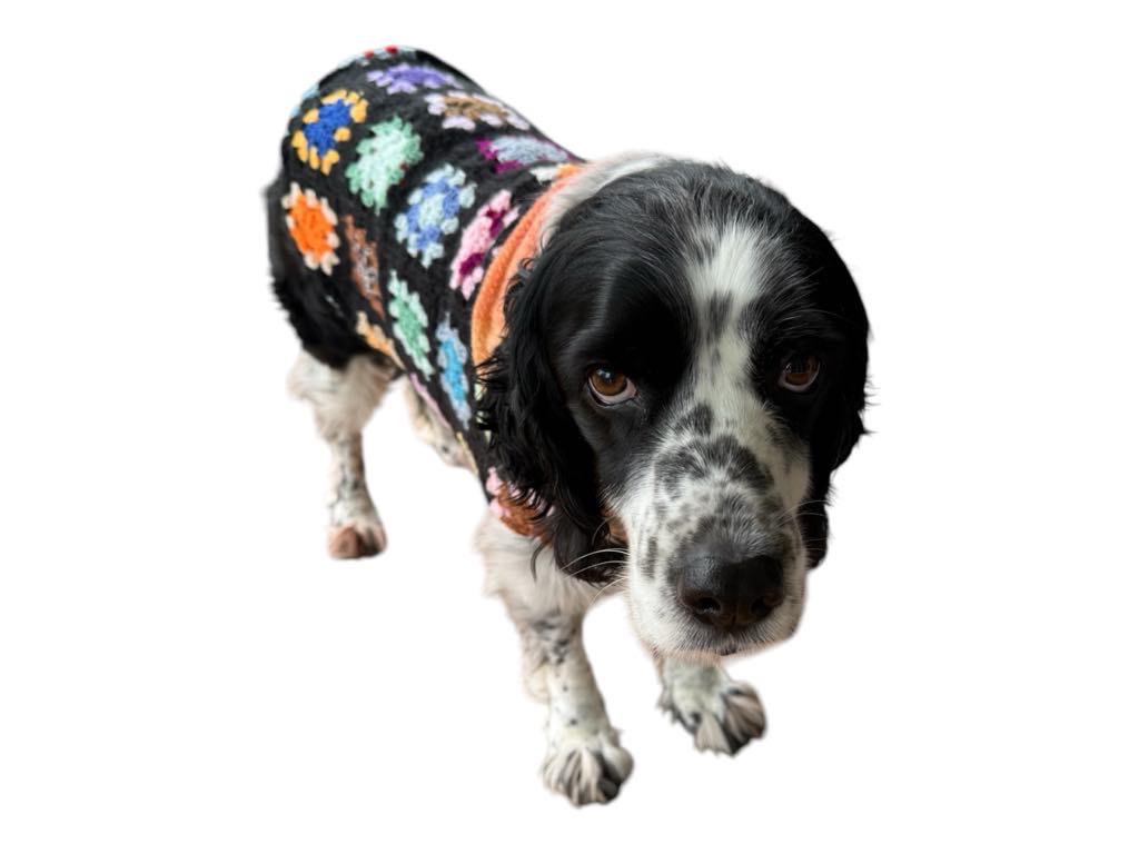 Upcycled Vintage Handmade Retro Crochet Dog Jacket