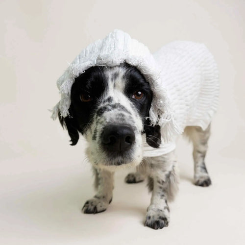 Retro Vintage Handmade Towelling Dog Jackets - Large