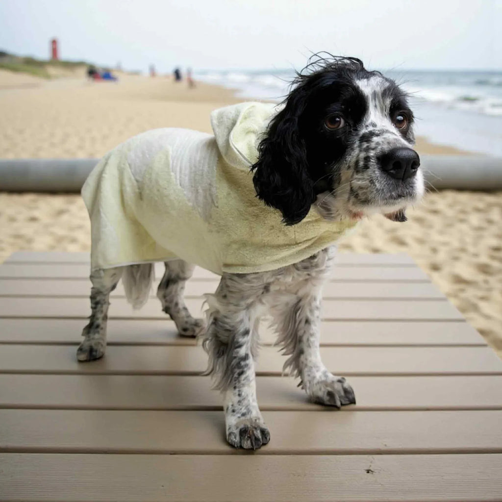 Retro Vintage Handmade Towelling Dog Jackets Large