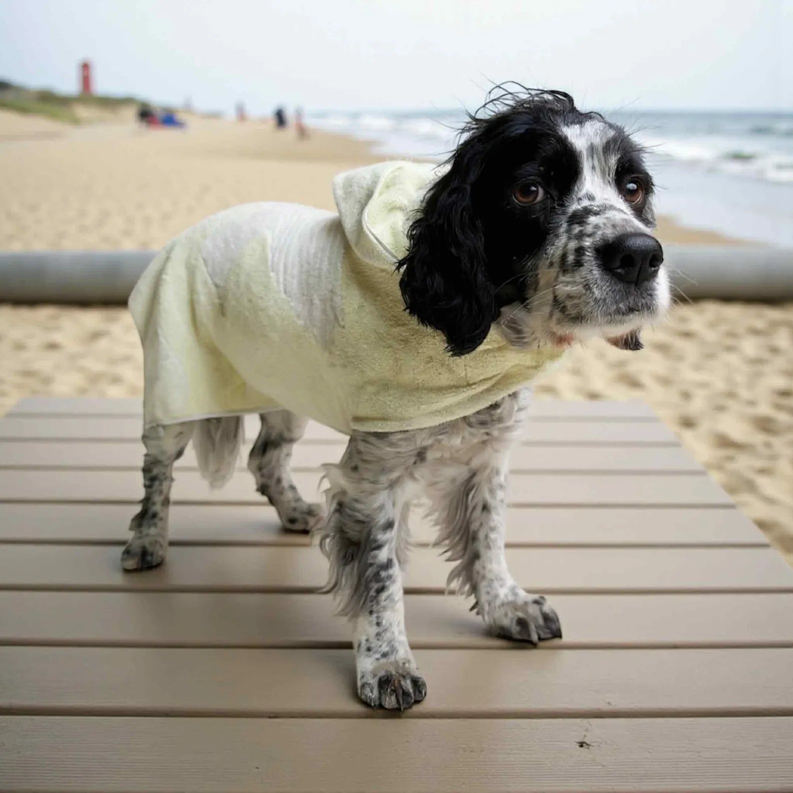 Retro Vintage Handmade Towelling Dog Jackets Large