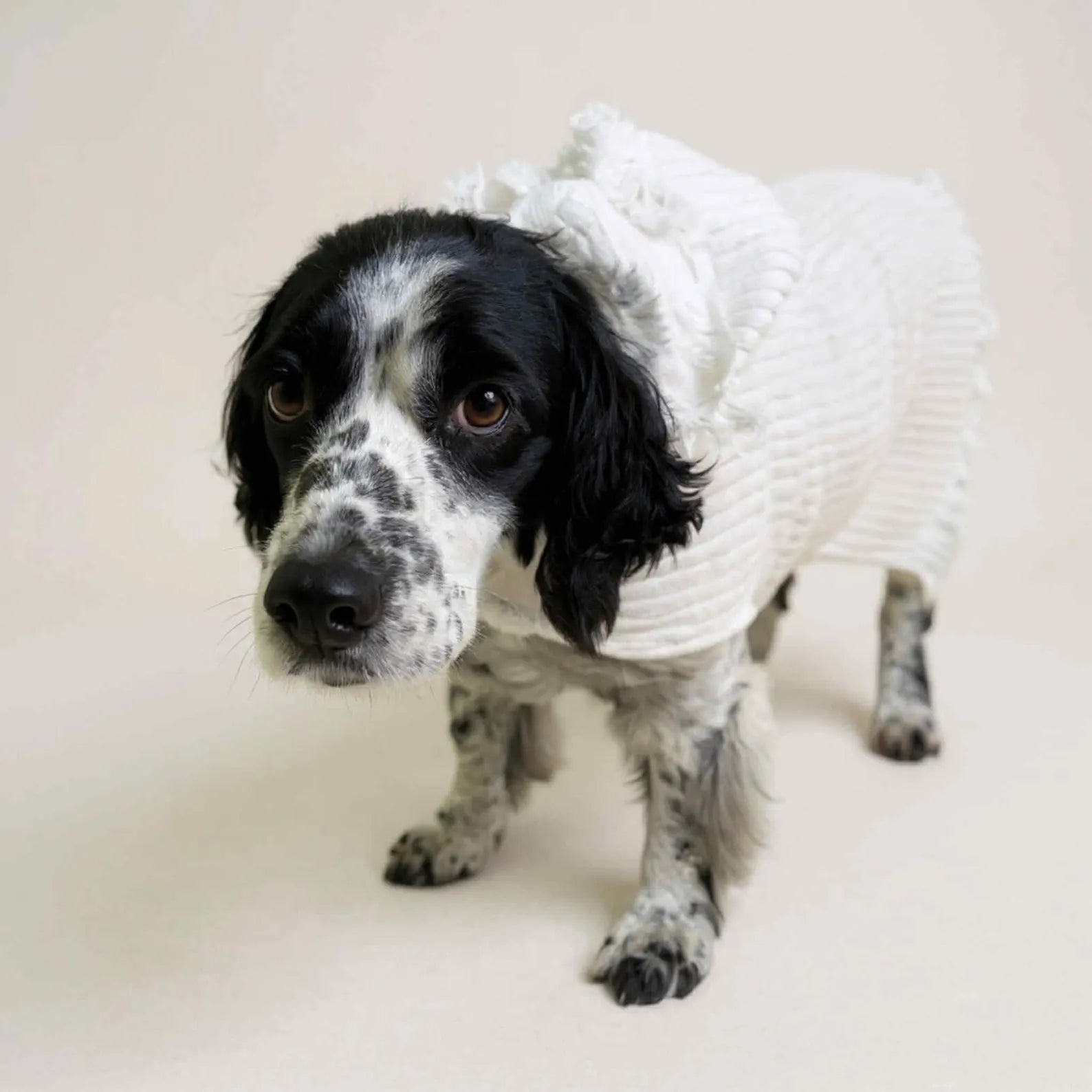 Retro Vintage Handmade Towelling Dog Jackets - Large