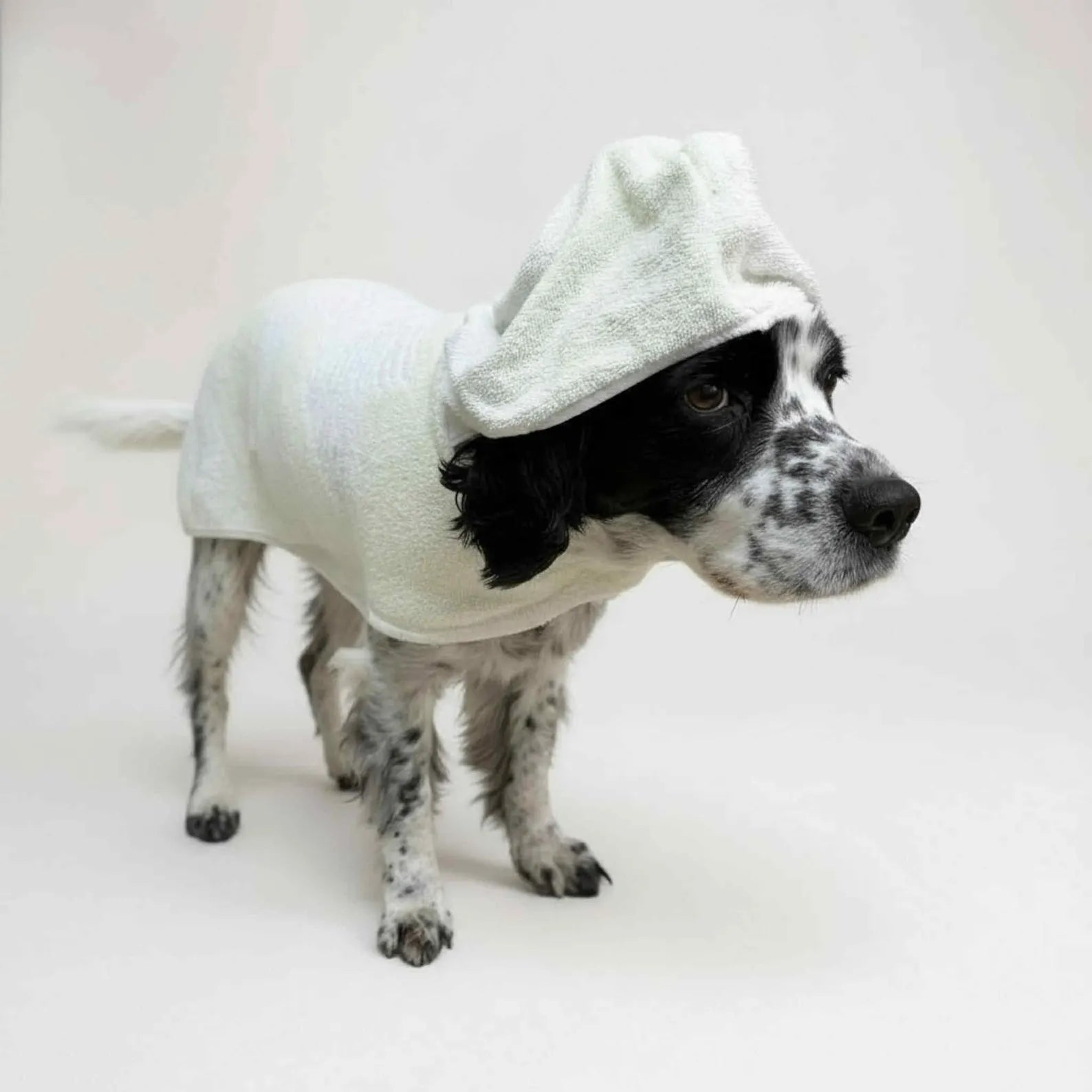 Retro Vintage Handmade Towelling Dog Jackets Large