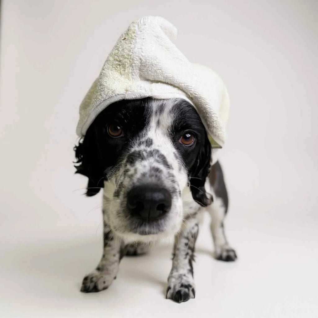 Retro Vintage Handmade Towelling Dog Jackets Large