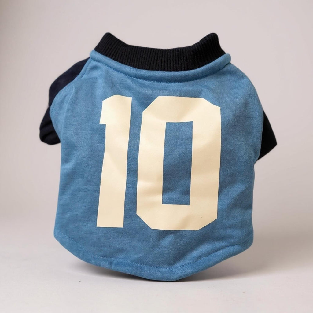 Recycled Dog Sweatshirt