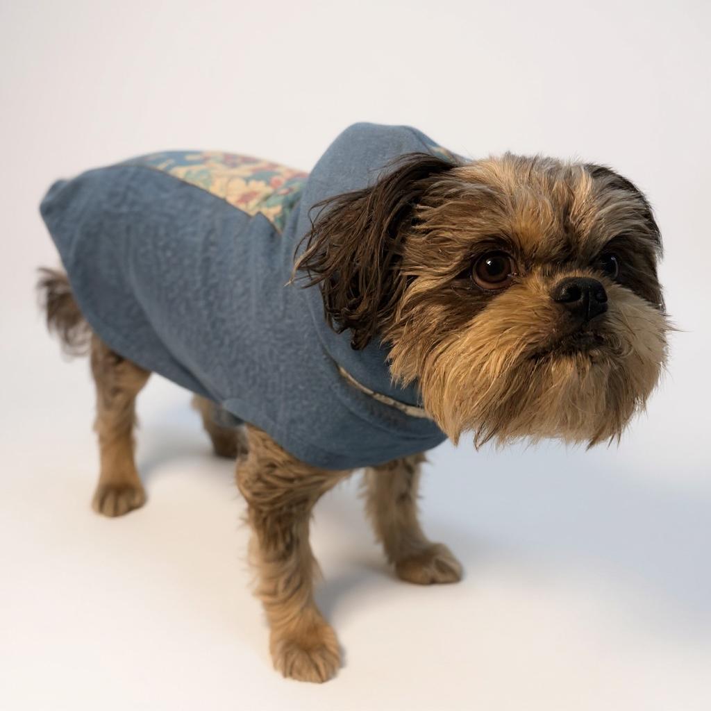 Recycled Dog Sweatshirt