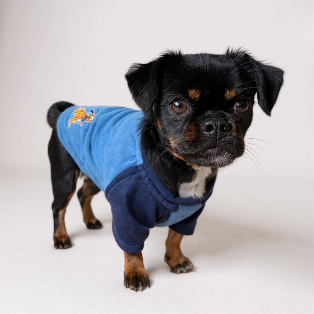 Recycled Dog Sweatshirt