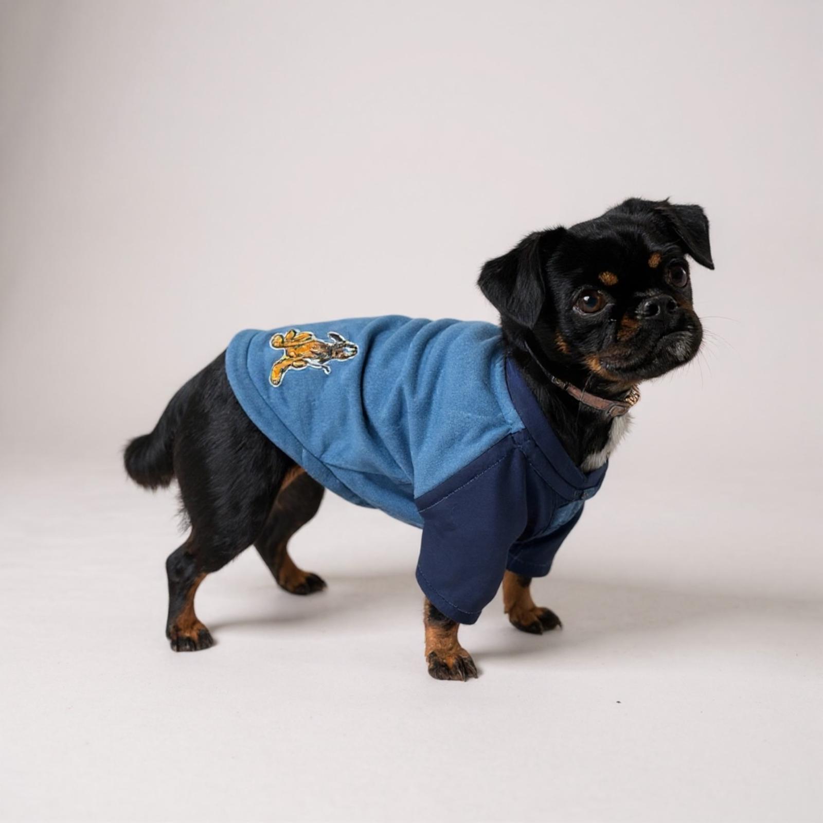 Recycled Dog Sweatshirt