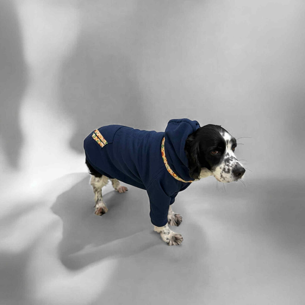 Recycled Dog Sweatshirt