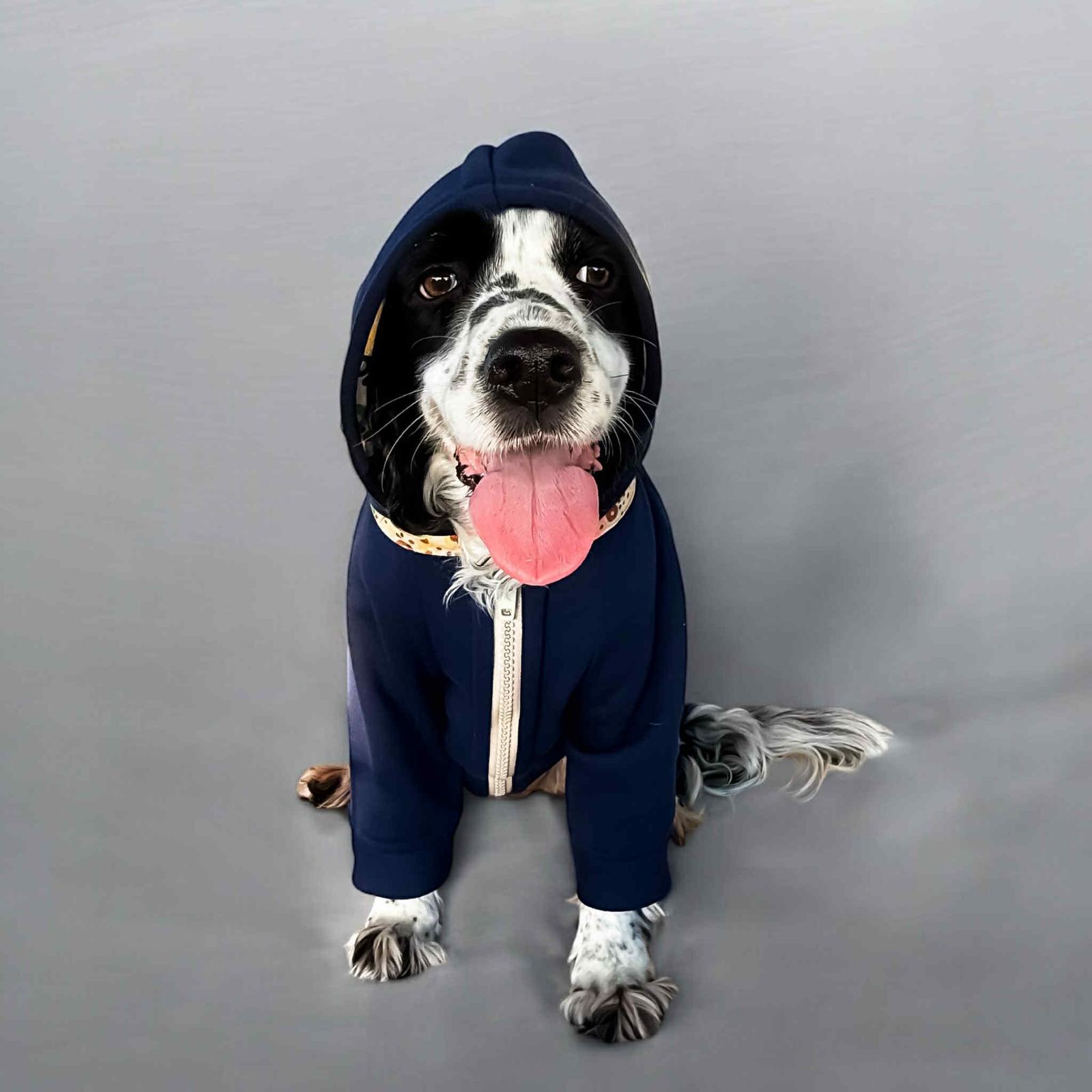 Recycled Dog Sweatshirt