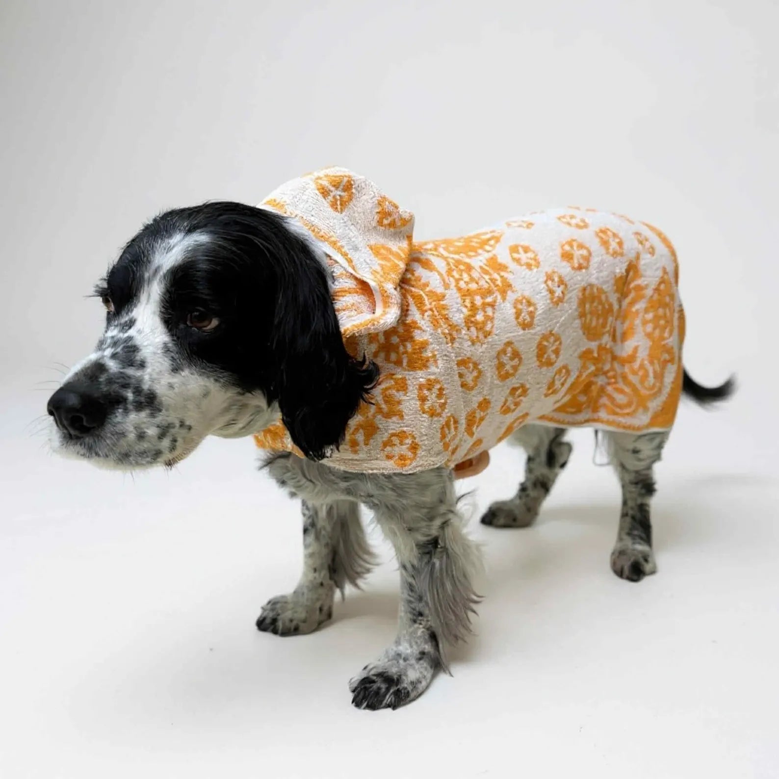 Retro Vintage Handmade Towelling Dog Jackets - Large