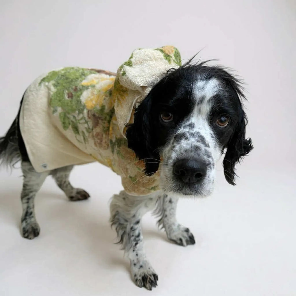 Retro Vintage Handmade Towelling Dog Jackets Large