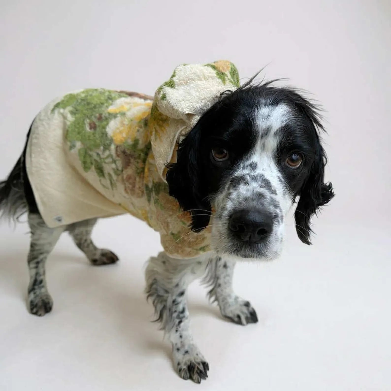 Retro Vintage Handmade Towelling Dog Jackets Large