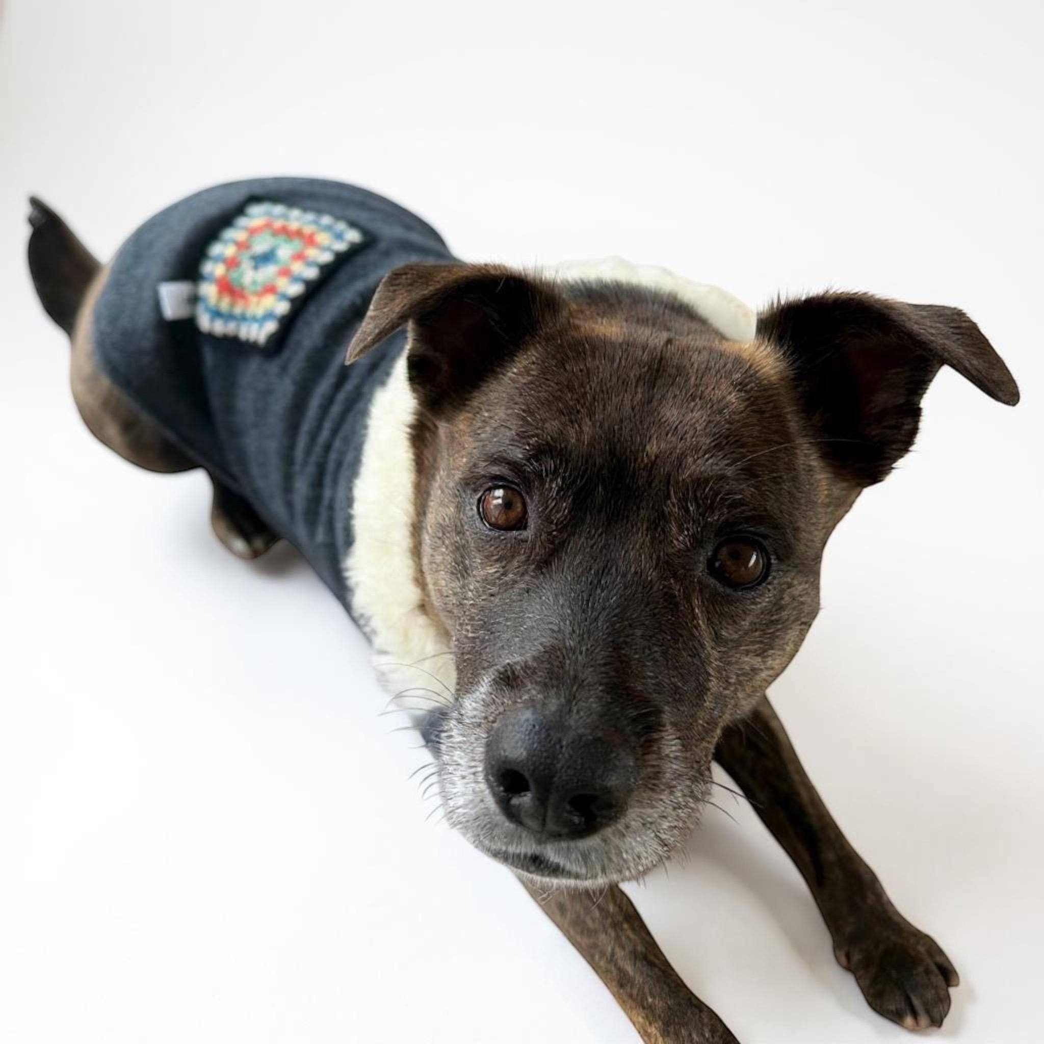 Upcycled Vintage Crochet Patch Wool Dog Jacket - Large