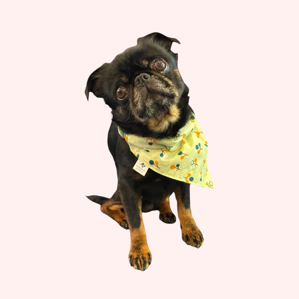 Vintage 60s Fabric Dog Bandanas - Leash-Loop Style