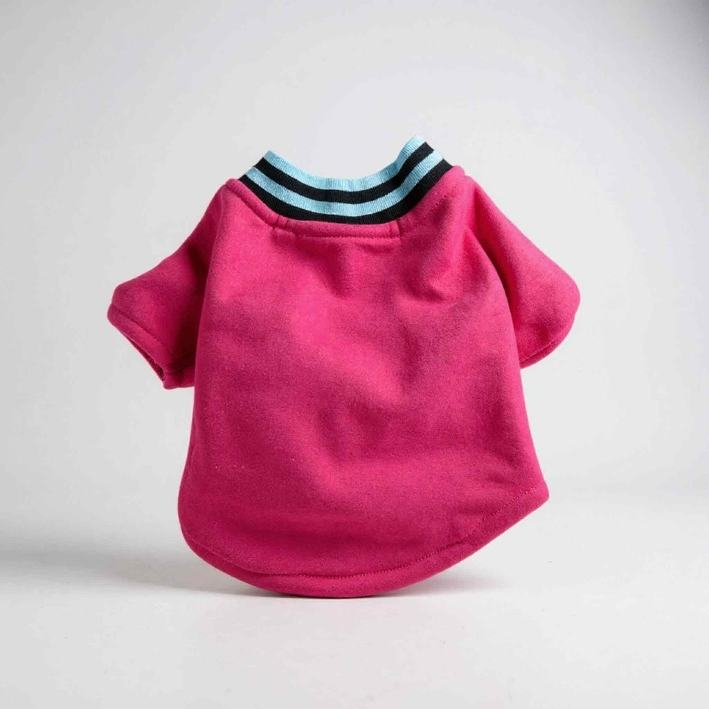 Recycled Dog Sweatshirt