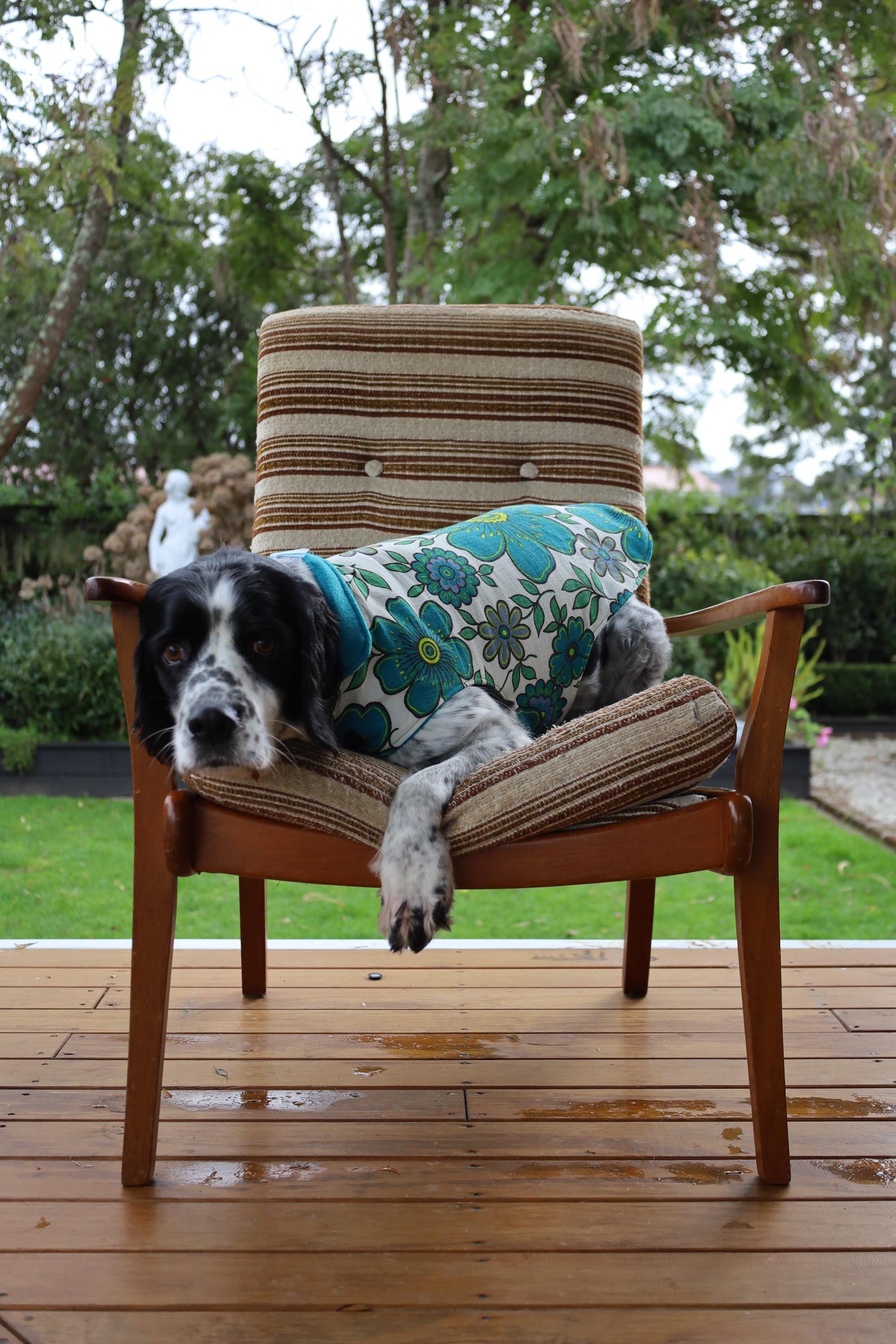 Upcycled Handmade Retro 60s Fabric Dog Jacket