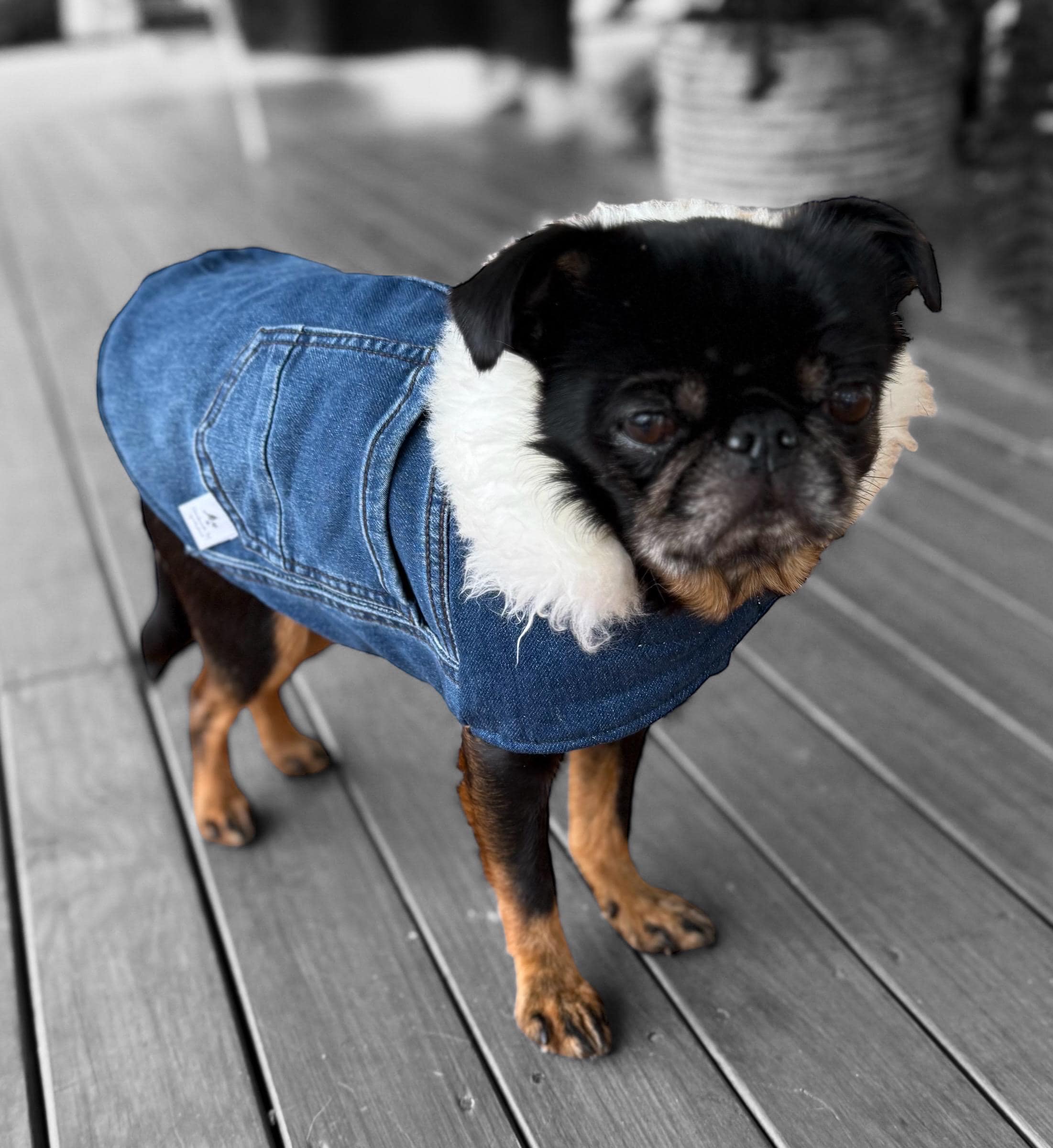 Upcycled Vintage Handmade Denim Dog Jacket - Small