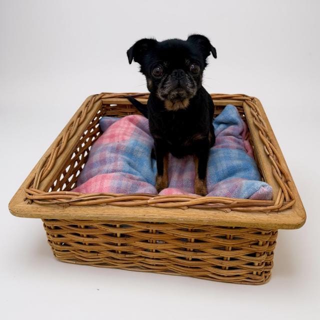 Vintage Handmade Wollen Basket Beds - Pink & Blue